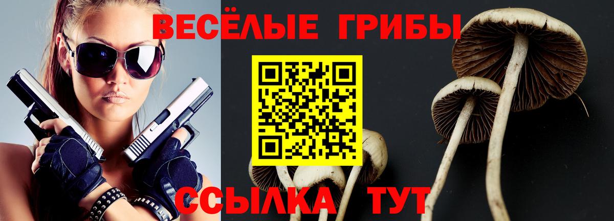 Галлюциногенные грибы Psilocybine cubensis Сургут